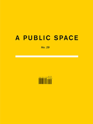 cover image of A Public Space No. 29